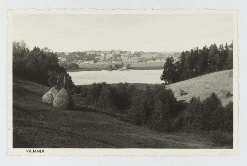Viljandi view