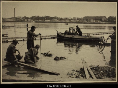 Construction of elling for the construction of Suursilla colonies.  duplicate photo