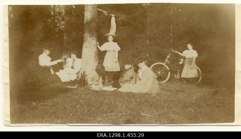 Ladies and Misss on the picnic