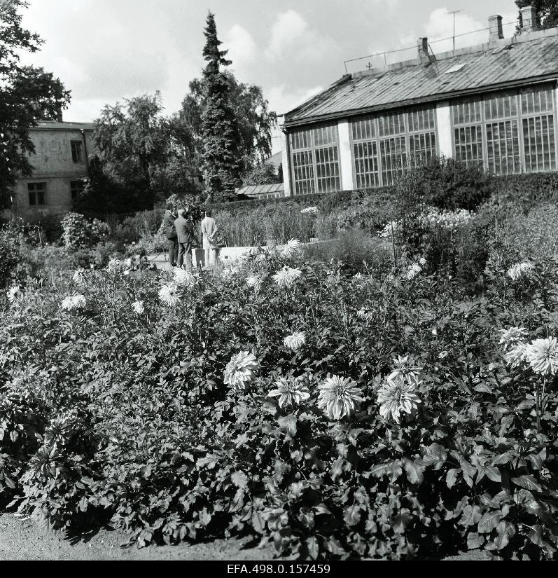 Tartu Botanic Garden.