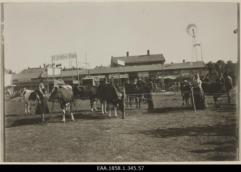 View of the agricultural exhibition, cows, windmills and groceries at the front