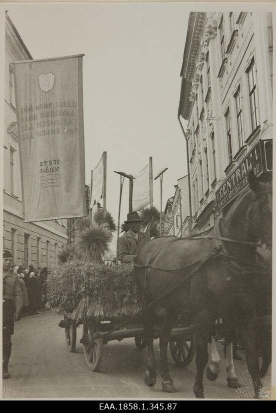 Estonian Day Carneval Excursion in Tartu