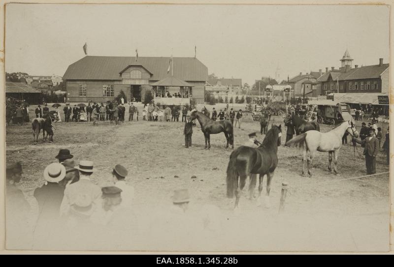 View of the agricultural exhibition
