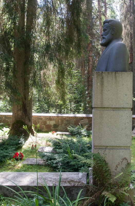 C. R. Jakobson's kalm on Kurgjal rephoto