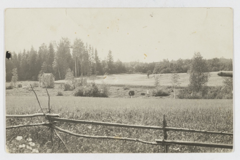 General village, 1929