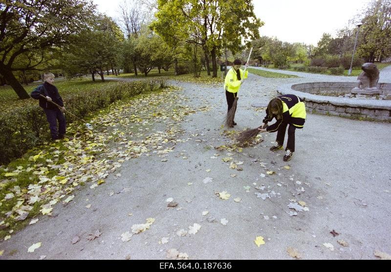 Cleaning leaves in the park.