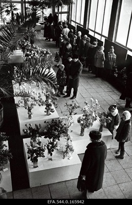 Flower exhibition in Flower Paviljon.  similar photo