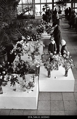 Flower exhibition in Flower Paviljon.  similar photo