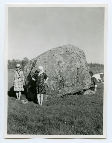 Stenar där man offrar smultron. (1932)