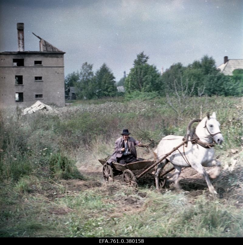 A scene from the film "Metscanics". A white horse with a vanquirer is swinginging on the abandoned landscape, in the role of Kukumägi Arvo Kukumägi