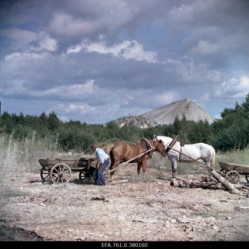 A scene from the film "Metscanners". Two horses with vans in the empty country, back in the ash mountain