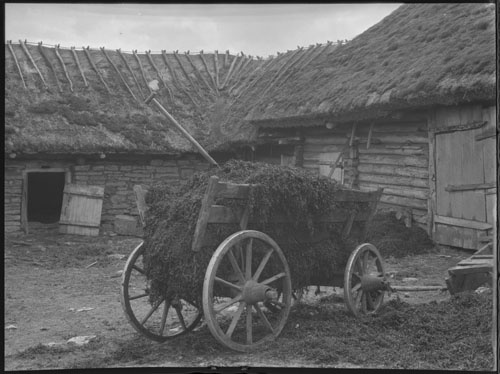 That lass havstång på fägården. (1932)