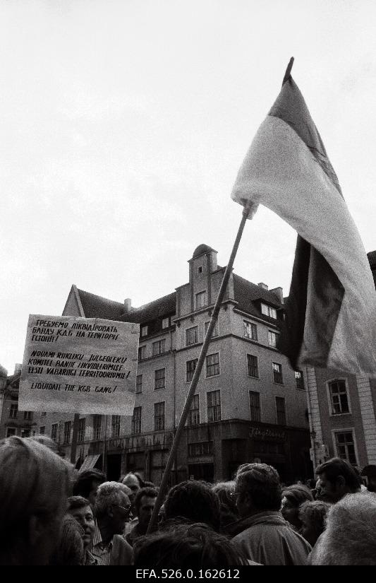 Estonian People’s Municipality miiting “The question of the re-independence of the Baltic States at the Paris Conference” at the Raekoja Square.