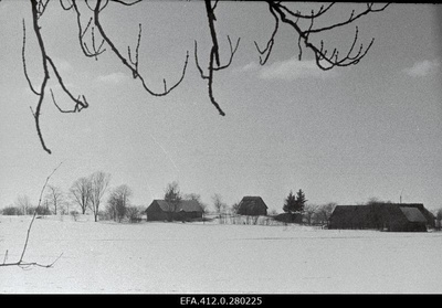 Winter nature keys from Märjamaa district.  duplicate photo