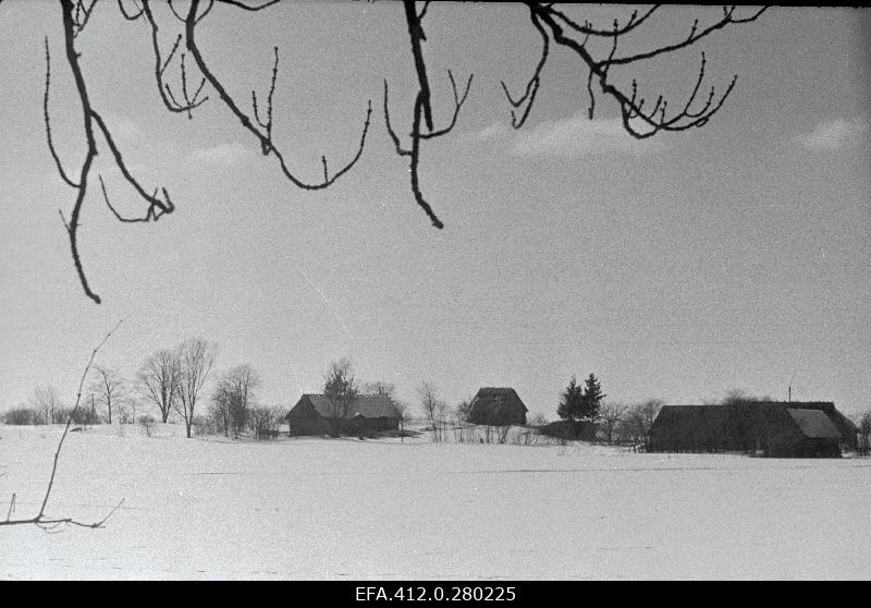 Winter nature keys from Märjamaa district.