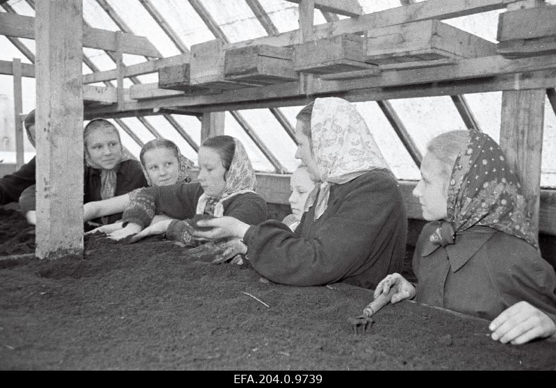 Production lesson in the 6th grade of Märjamaa High School. Supervised by the school biology teacher Virve Edula.