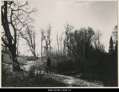 Former location of the main building of the ORGITA manor, a man at the forefront  duplicate photo