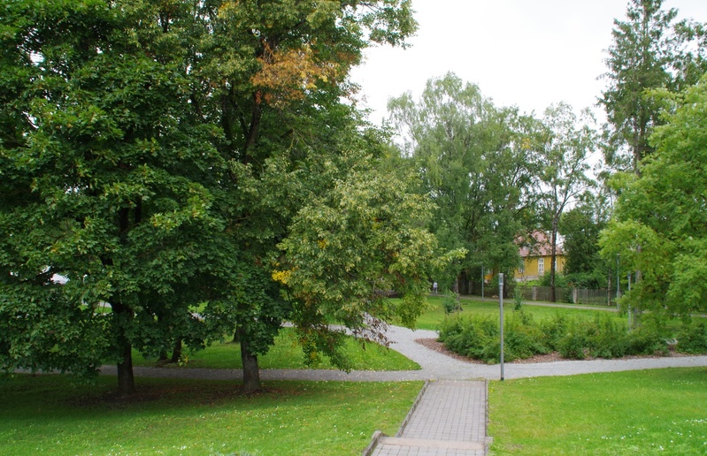 Rakvere, view of Pika street over Teacher's heinamaa rephoto