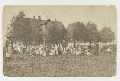 Students of the Mari Raamot Daughters Farmwork and Household School in the field  duplicate photo