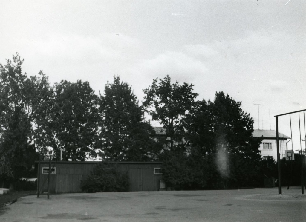 J. The oak planted around the former Võru Teacher Seminar
