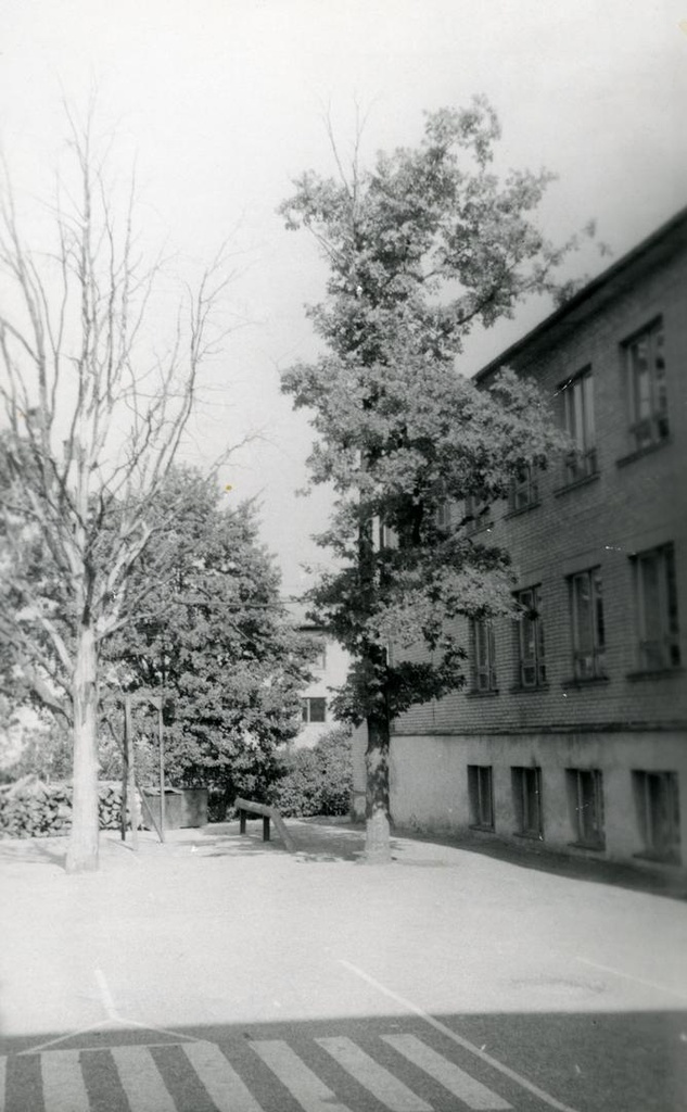 J. The oak planted around the former Võru Teacher Seminar