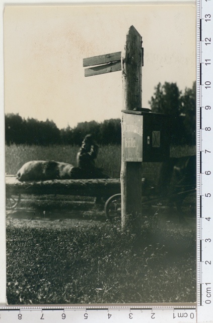 Jaanikeste village postcast at the Orava village teapot, Võrumaa 1925