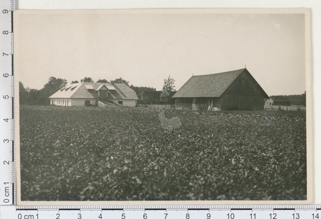 Exemplary farm "Joora", owner of Mr. Kalm, at the forefront of the cattle board, Tartumaa 1924