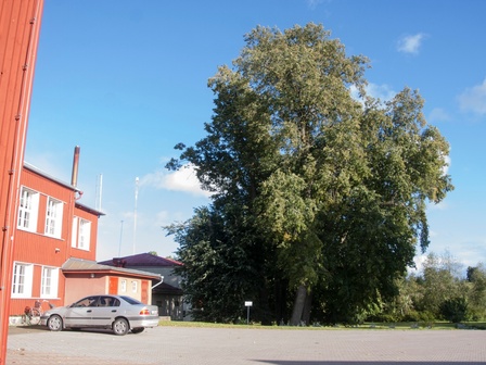 Holstre Kooli ümbrus rephoto