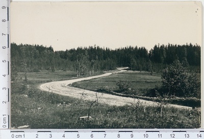 Veriora forest, Võrumaa 1925  duplicate photo