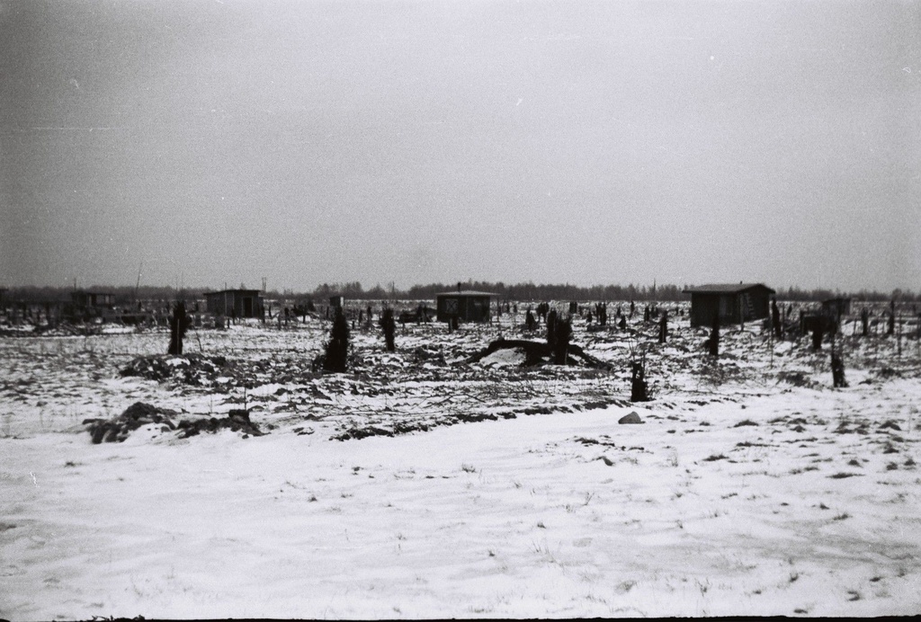 Muuga Garden City, Lupiini tee region in 1959-1960