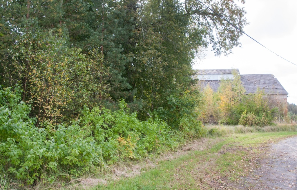 foto, Viljandimaa, Meleski klaasivabrik, välisvaade, u 1925 rephoto