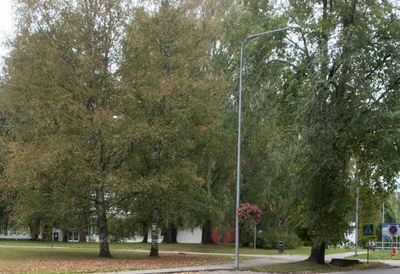 The ruins of the primary school of Elva. rephoto