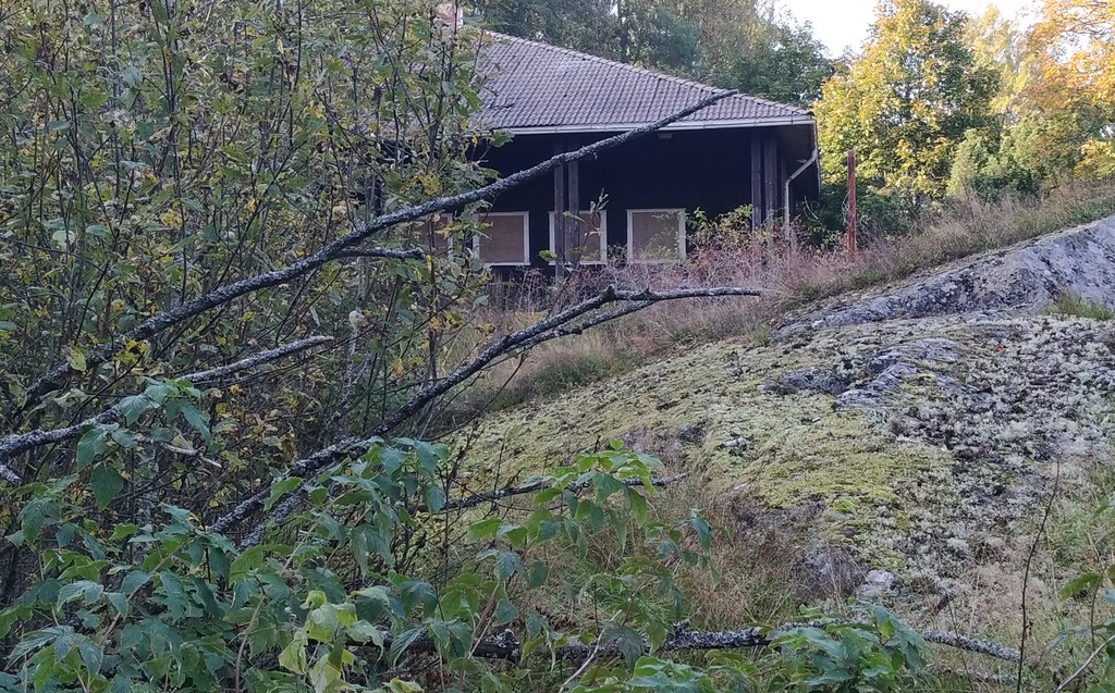 Opettaja Juha Alanen ja koululaisia mäenrinteessä Vallisaaressa. Taustalla näkyy vuonna 1958 saarelle valmistunut koulurakennus. Ryhmäkuva on otettu keväisessä auringonpaisteessa. rephoto