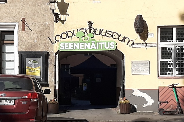 Estonian Nature Museum in Tallinn on Laial Street rephoto