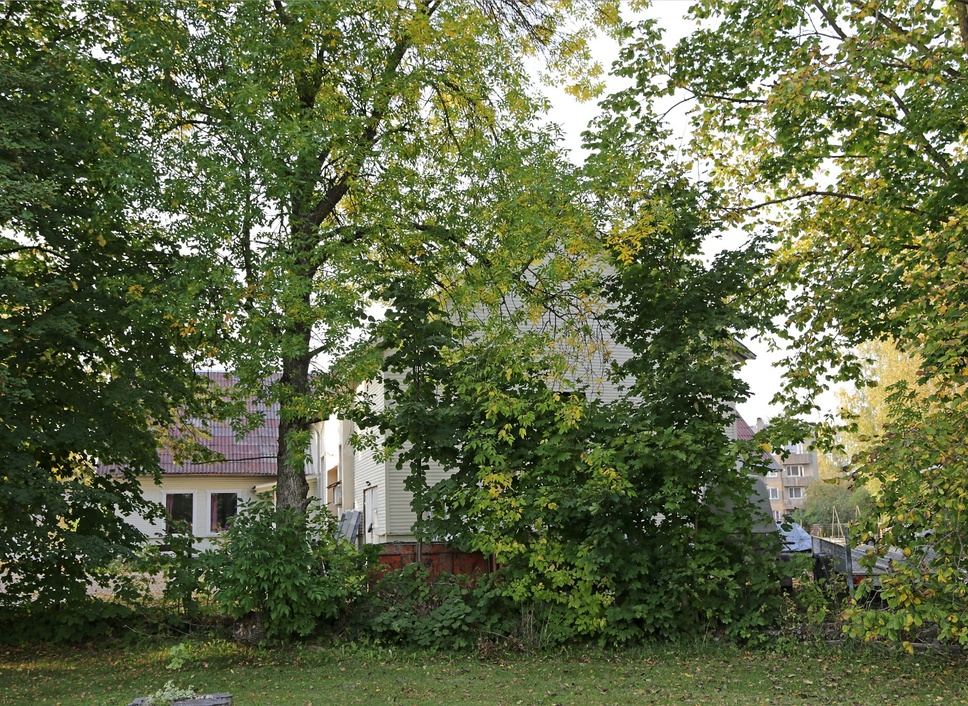 Rear view of Jõgeva cinema rephoto