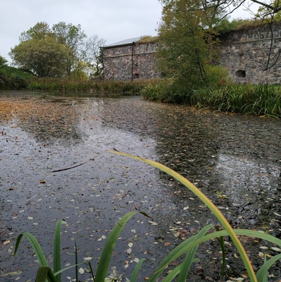 Suomenlinna, Susisaari.  Lammikko Piperin puistossa.  Taustalla bastioni Hårleman. rephoto