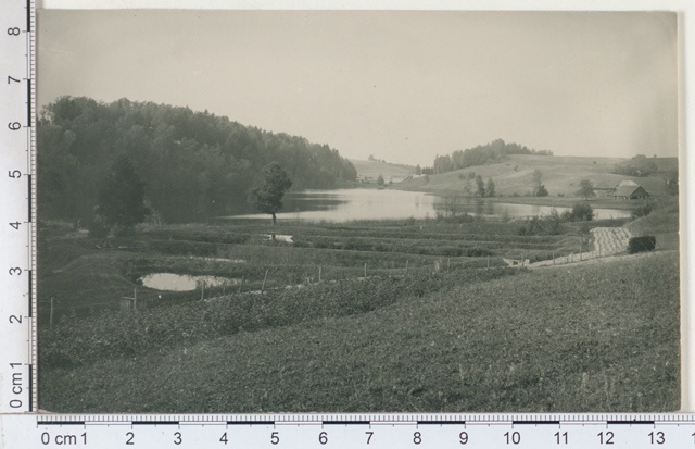 Lake Tõugjärv Rõuges, Võrumaa 1924