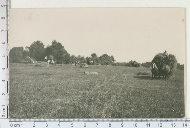 Crucifixion in Sandla Manor, Saaremaa 1925