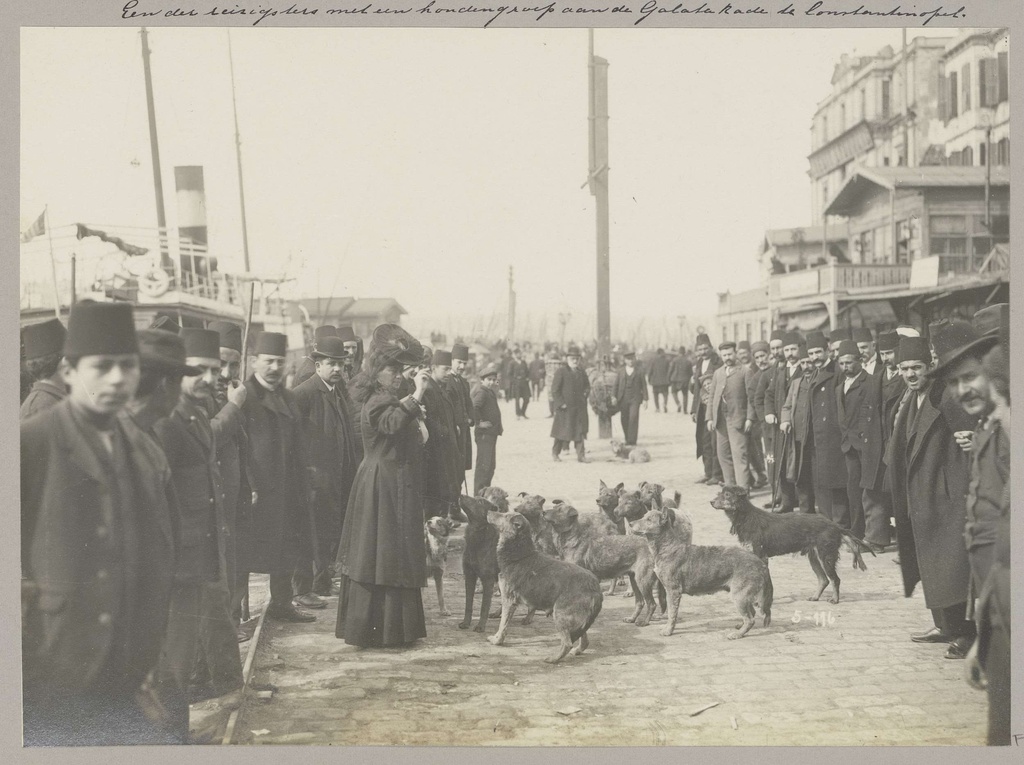 Vrouwelijke onceger met groep honden here midden van mannen op de Galatakade in Istanbul
