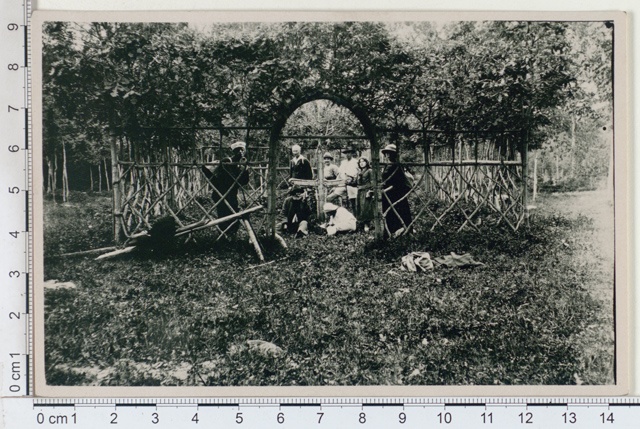 Garden rotated from growing oaks at Mädamürka farm, Viljandimaa
