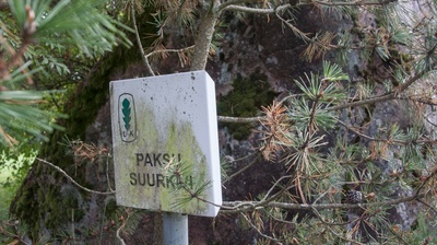 Nature reserved Paksu stone, Liivaku farm, Mäeküla village rephoto