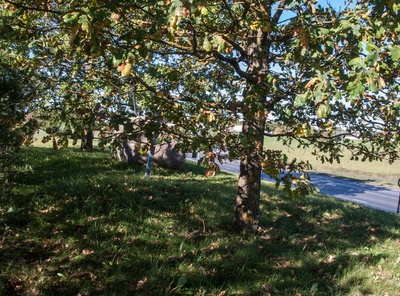 Maapäev Säreveres rephoto