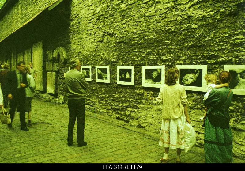 View of the exhibition in the course of Katariina during the days of the Old Town.