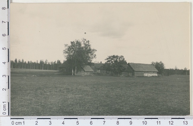 Farm "Naissaarel" in the middle of the sex of Meelva, Võrumaa 1924
