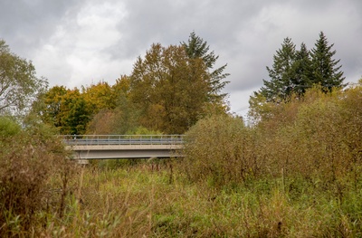 Photo Jõgeva Bridge rephoto