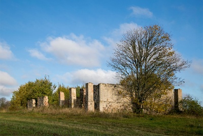Photo of Kuremaa Manor's Order 1972 rephoto