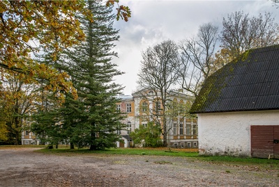 Behind the main building of Kuremaa Manor. 1960 rephoto