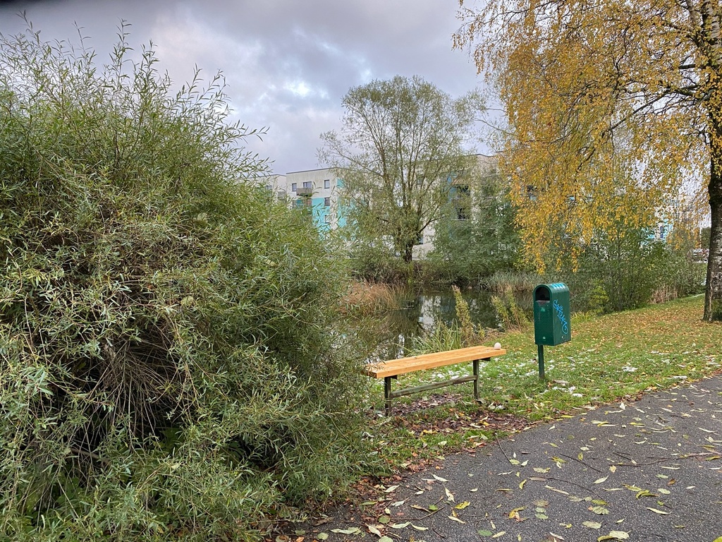 Cow Manor's Ticket1 - Cow Manor's Ticket. rephoto