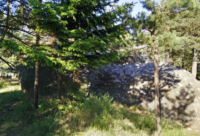 Süllasoo suure lohuga kivi rephoto
