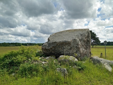 Foto. Kivi Kukka k rephoto